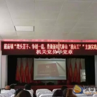 戴廟鎮(zhèn)開展“機關(guān)黨員學黨章” 集中學習活