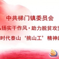 梯門鎮(zhèn)扎實開展好4月份“弘揚實干作風·助