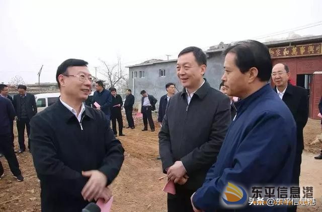 東平街道：大力弘揚泰山“挑山工”精神 強力攻堅全域土地整治