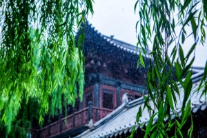 悠悠古鎮(zhèn)·煙雨如畫(huà)|一起欣賞初秋雨后的水滸影視城