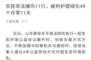 人民日?qǐng)?bào)點(diǎn)贊|東平農(nóng)民非法捕鳥(niǎo)11只，被判護(hù)堤綠化49個(gè)月零11天