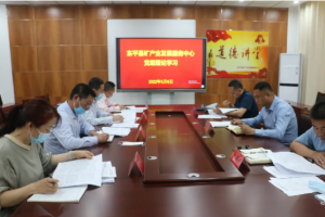 縣礦產(chǎn)業(yè)發(fā)展服務(wù)中心開(kāi)展黨組理論學(xué)習(xí)中心組集中學(xué)習(xí)