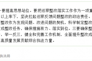 東平縣綜合行政執(zhí)法局黨組召開縣委黃河流域生態(tài)保護(hù)和高質(zhì)量發(fā)展專項(xiàng)聯(lián)動(dòng)巡察反饋問題整改部署會(huì)