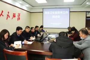 【迎接國家衛(wèi)生縣復(fù)審】東平縣疾控中心精心組織召開工作推進會