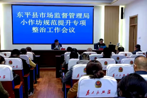 東平：落實兩個責任 規(guī)范提升“小作坊”?