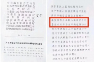 喜報！東平2個村莊入選省級文化體驗廊道重點村