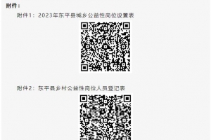 4920個崗位！東平發(fā)布2023年城鄉(xiāng)公益性崗位招聘公告
