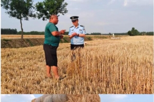 東平社區(qū)民警助農(nóng)忙