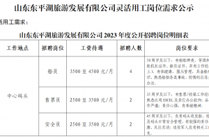 山東東平湖旅游發(fā)展有限公司靈活用工崗位需求公示
