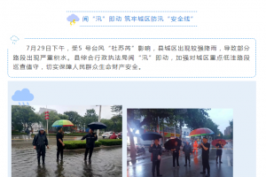 東平縣綜合行政執(zhí)法局聞“汛”即動 筑牢城區(qū)防汛“安全線”