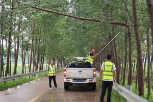 風雨無阻！交通人堅守一線保暢通