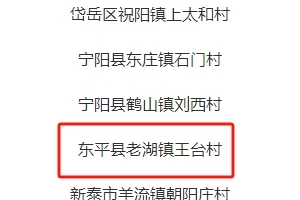 省級(jí)榮譽(yù)！東平縣一村入選！