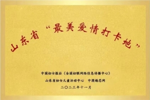 喜報！東平大宋不夜城獲評山東省首批“最美愛情打卡地”！
