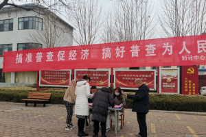 東平縣婦計中心開展第五次全國經(jīng)濟(jì)普查宣傳活動