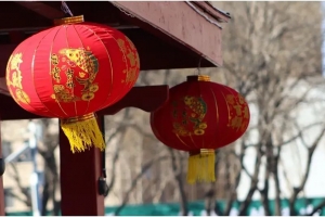 年味來了！大紅燈籠高高掛，東平紅紅火火迎新年