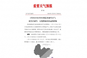 中到大雪局部暴雪！剛剛，東平發(fā)布重要天氣預(yù)報！