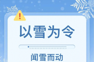 東平縣綜合行政執(zhí)法局：以雪為令守一線 聞雪而動(dòng)保安全