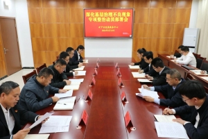 東平縣礦產(chǎn)業(yè)發(fā)展服務(wù)中心召開深化基層治理不良現(xiàn)象專項(xiàng)整治動員部署會