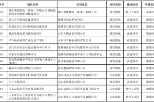 東平8個(gè)！泰安2024年度市服務(wù)業(yè)重點(diǎn)調(diào)度項(xiàng)目名單公布