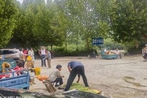 留住人間煙火氣！東平又一處臨時便民小市場開始“試營業(yè)”