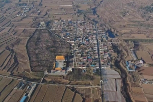 梁林村