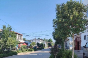 丁塢戰(zhàn)斗遺址