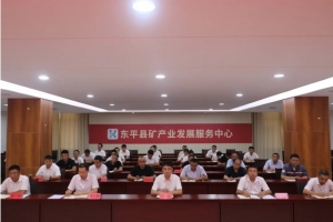 東平縣礦產(chǎn)業(yè)發(fā)展服務(wù)中心召開群眾身邊不正之風和腐敗問題集中整治專項工作推進會