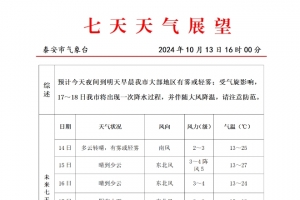 雨、霧、大風(fēng)降溫！最低8℃！東平天氣要變！最新天氣預(yù)報......