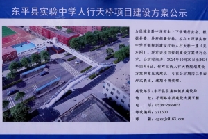 位置在這里！東平縣實(shí)驗(yàn)中學(xué)人行天橋項目建設(shè)方案來了！