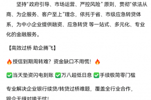 山東東原中小企業(yè)服務有限公司
